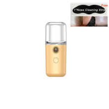 Portable USB Charging Moisturizing Skin Care Mini 30ml Hydrating Mist Facial Sprayer